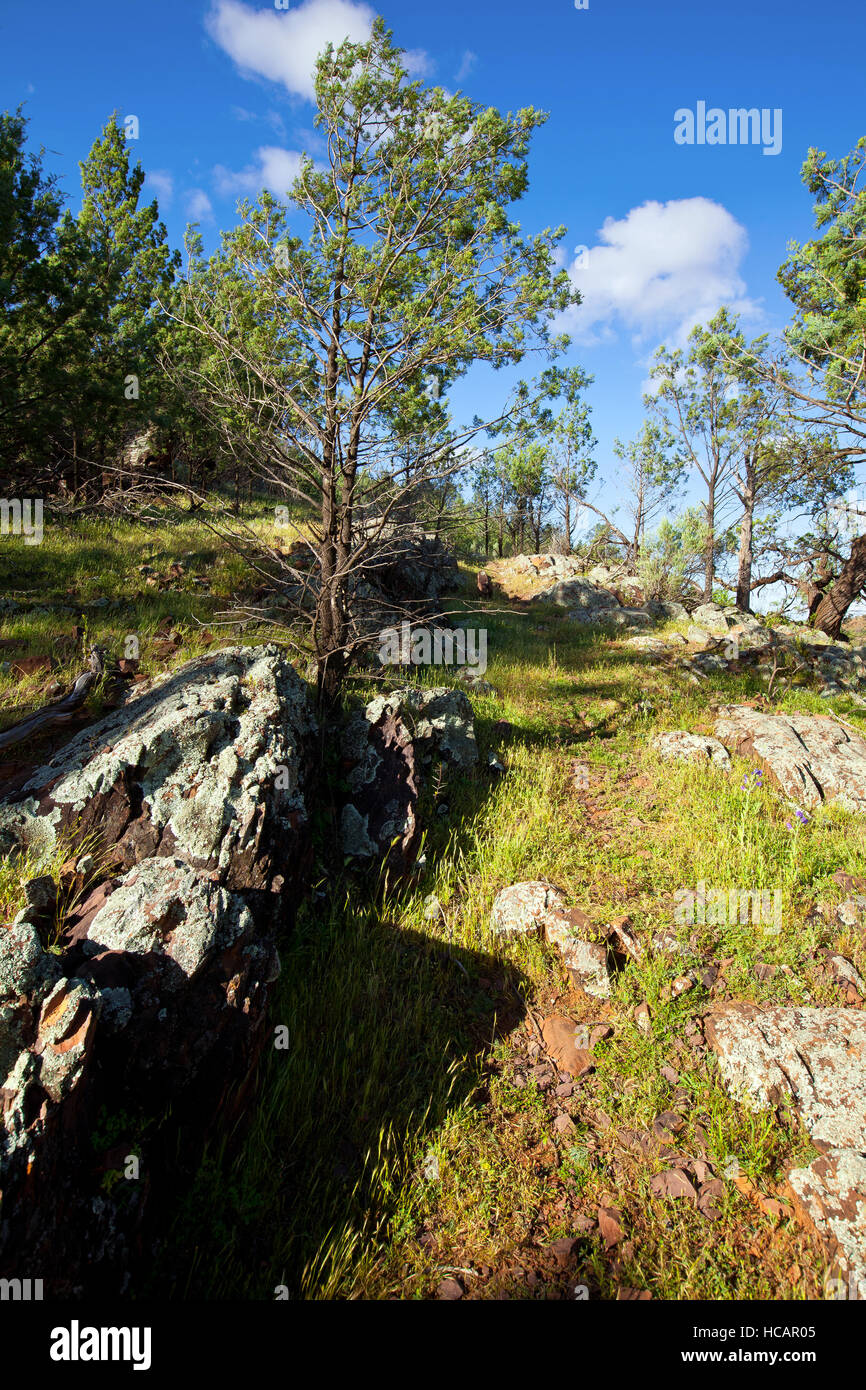 Heiligen Canyon Flinders Ranges, South Australia Stockfoto