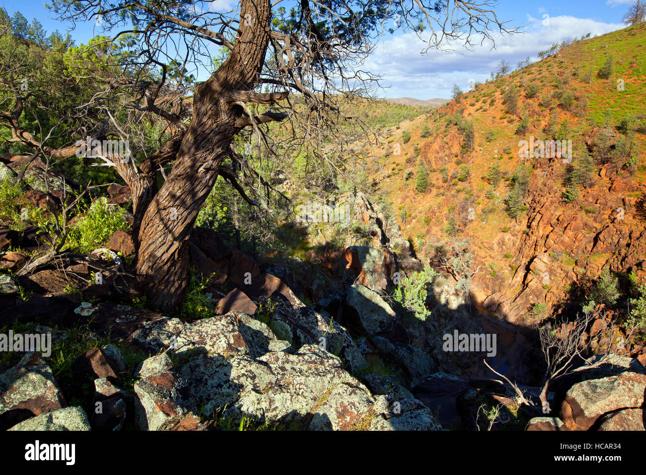 Heiligen Canyon Flinders Ranges, South Australia Stockfoto