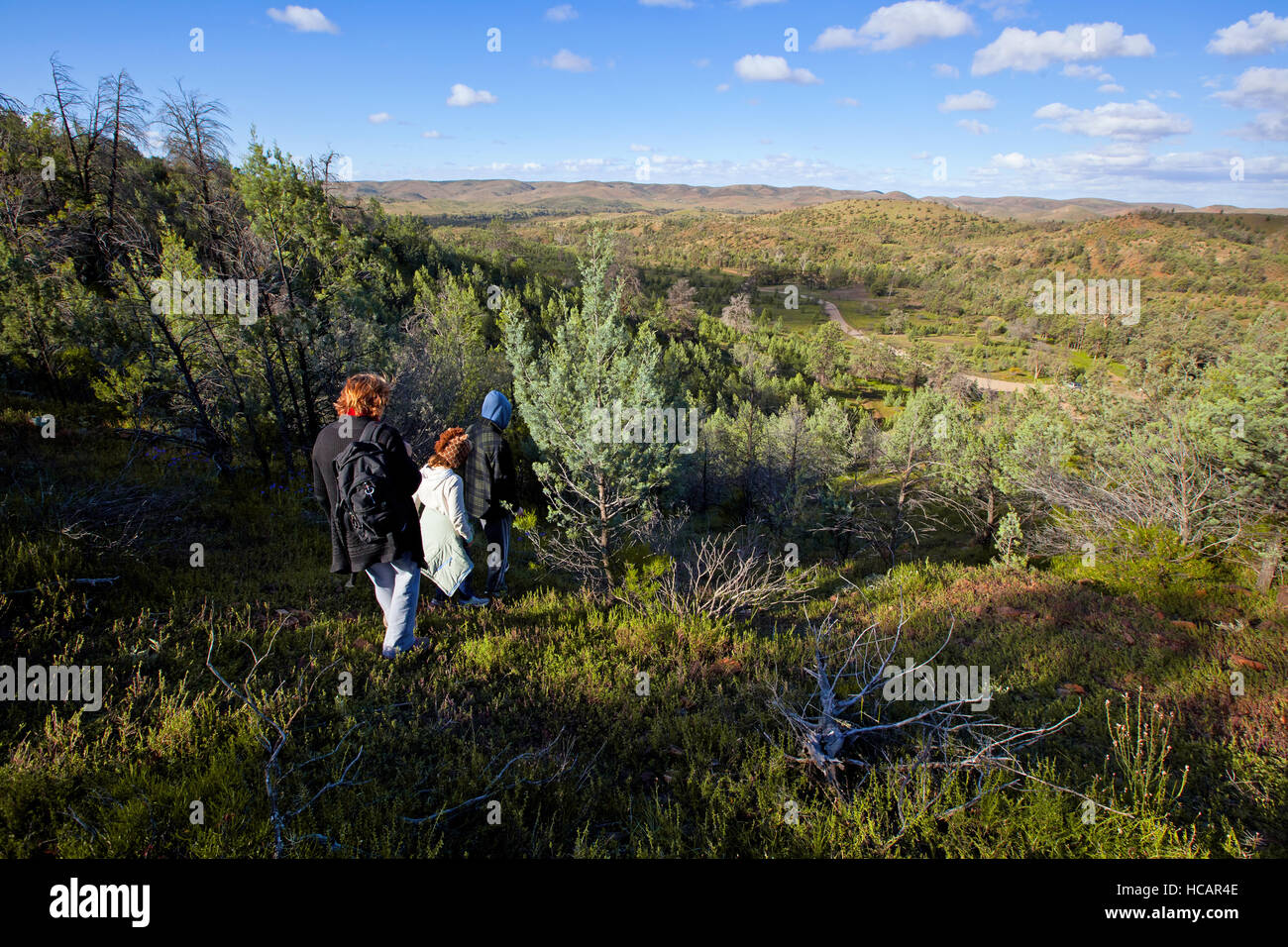 Heiligen Canyon Flinders Ranges, South Australia Stockfoto