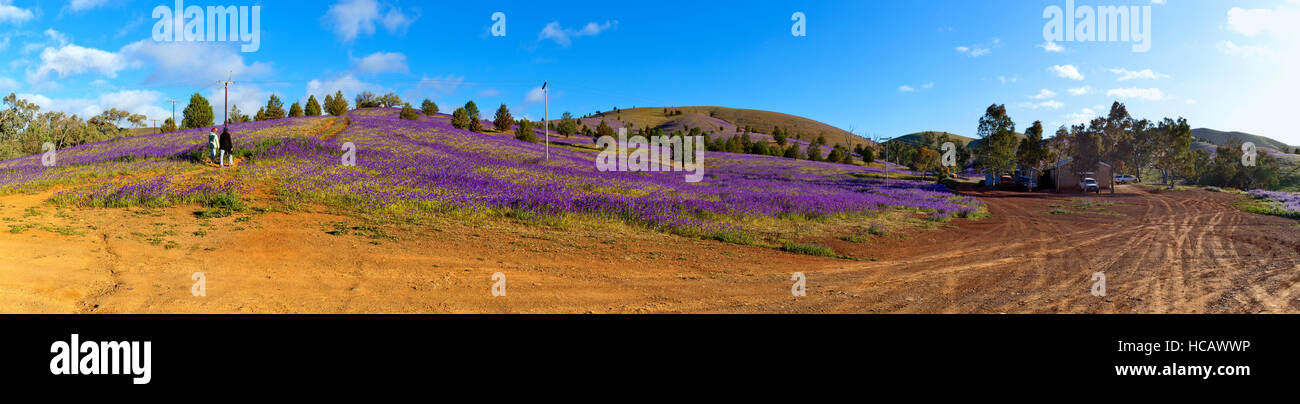 Flinders reicht South Australia australischen Outback-Landschaft-Landschaften Stockfoto