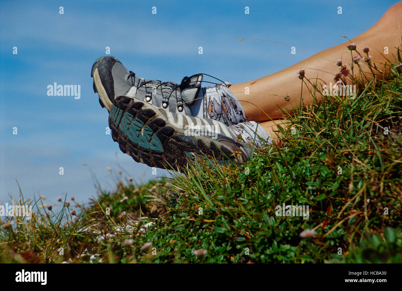 Frauenbeine mit Laufschuhen Stockfoto