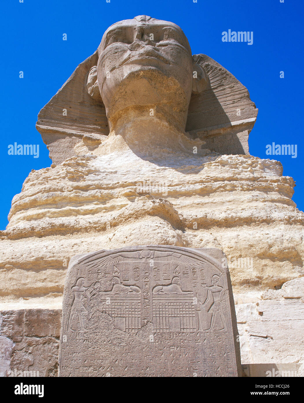 Die Sphinx und Tablet, Gizeh, Kairo, Ägypten Stockfoto
