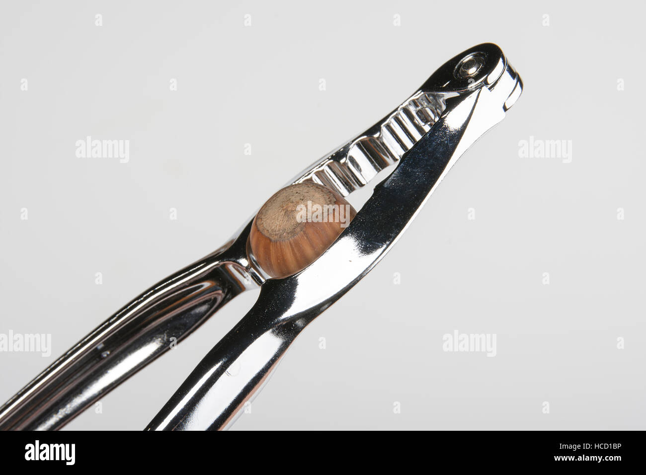 eine Nuss zu knacken Stockfoto