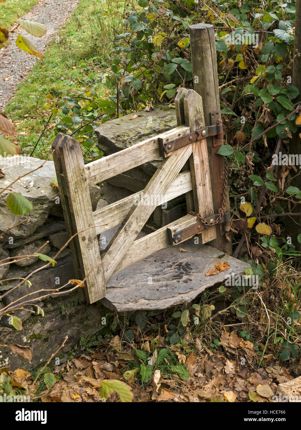 Fußweg Stufenpfahl in Trockensteinwand mit winzigem Holztor, Colwith, Cumbria, Großbritannien. Stockfoto