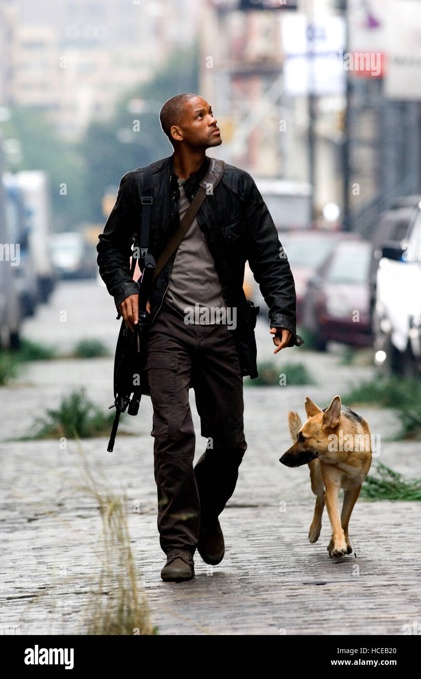 I Am Legend Will Smith 2007 © Warner Bros Courtesy Everett 