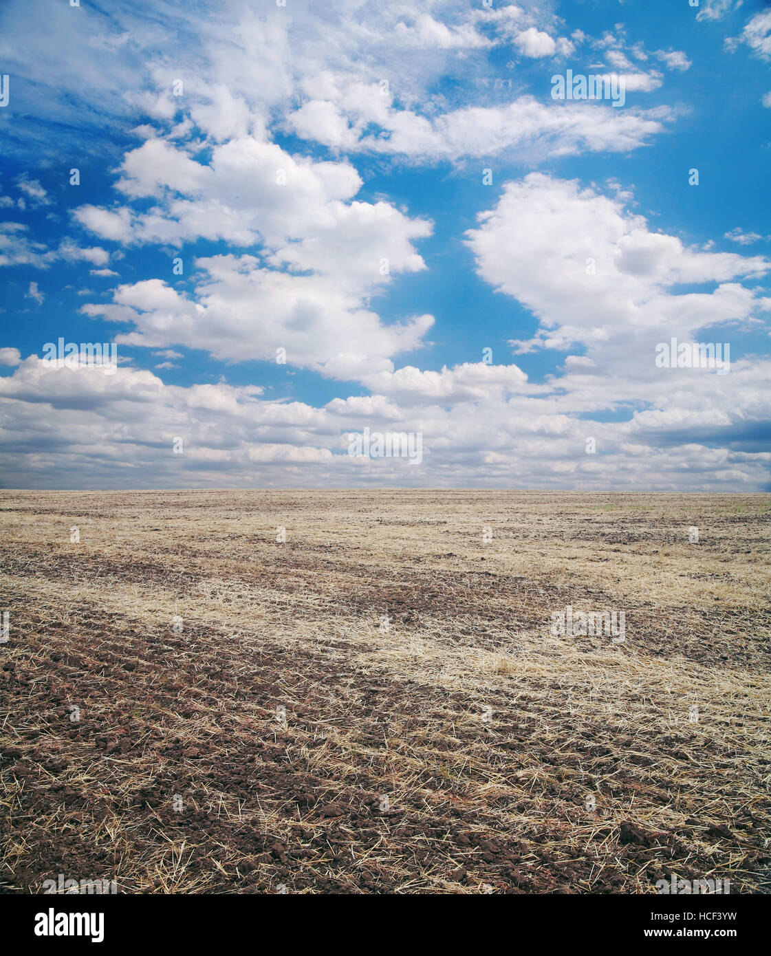 Ackerfläche gegen den Himmel mit Wolken Stockfoto