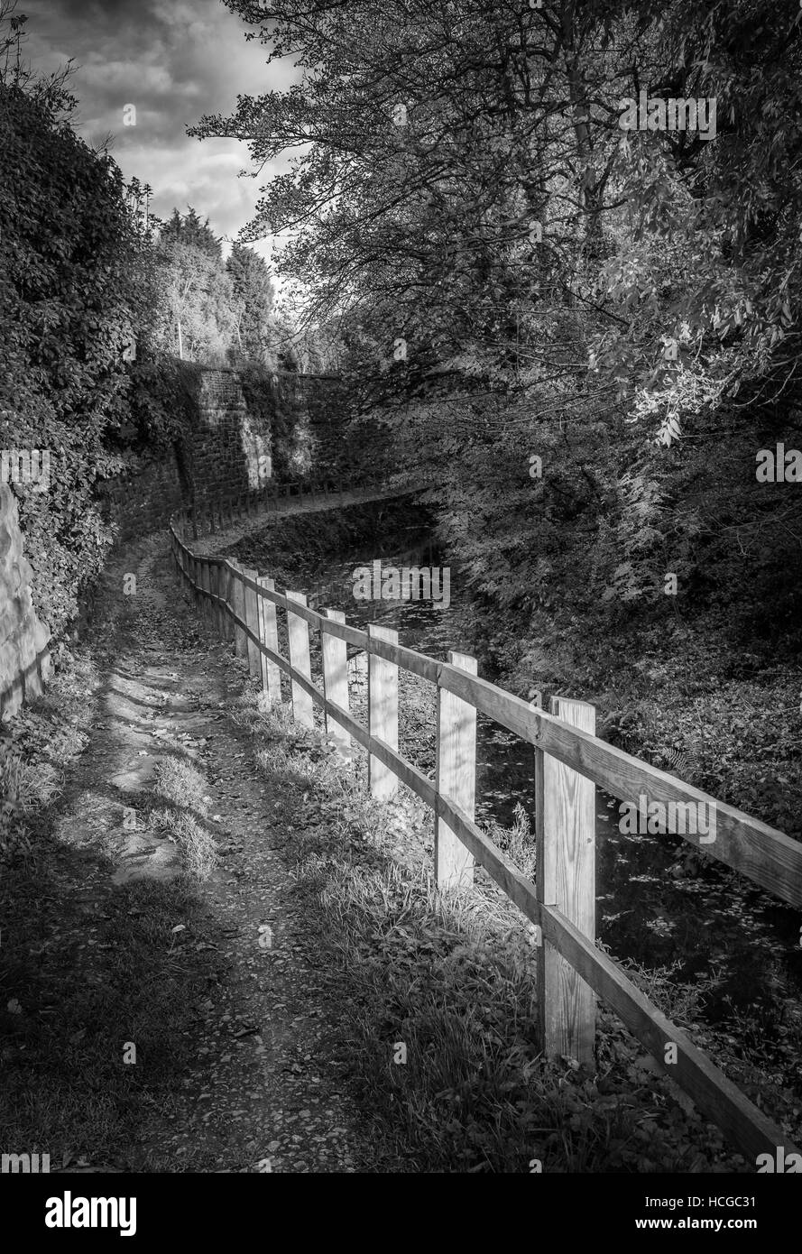Das Chesterfield Canal an Kiveton, Sheffield Stockfoto