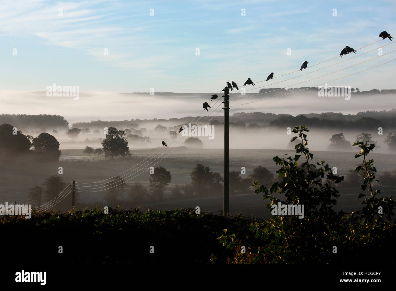 Am frühen Morgennebel in der Landschaft von North Yorkshire im Vereinigten Königreich. Stockfoto