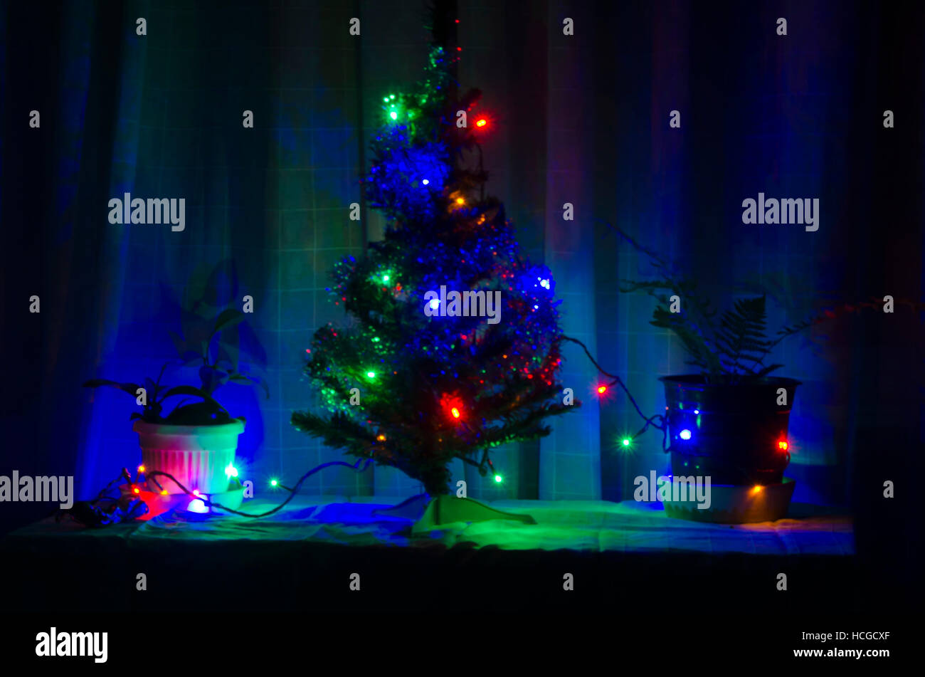 Weihnachten oder Neujahr s Baum mit buntem Licht in warmes Zuhause, Sofia, Bulgarien Stockfoto