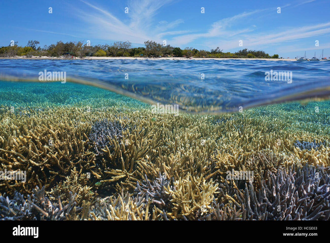 Über und unter Wasser gesunde Korallen Riff unter Wasser und Insel Split von Wasserlinie, Pazifischen Ozean, Insel, Neu-Kaledonien Stockfoto