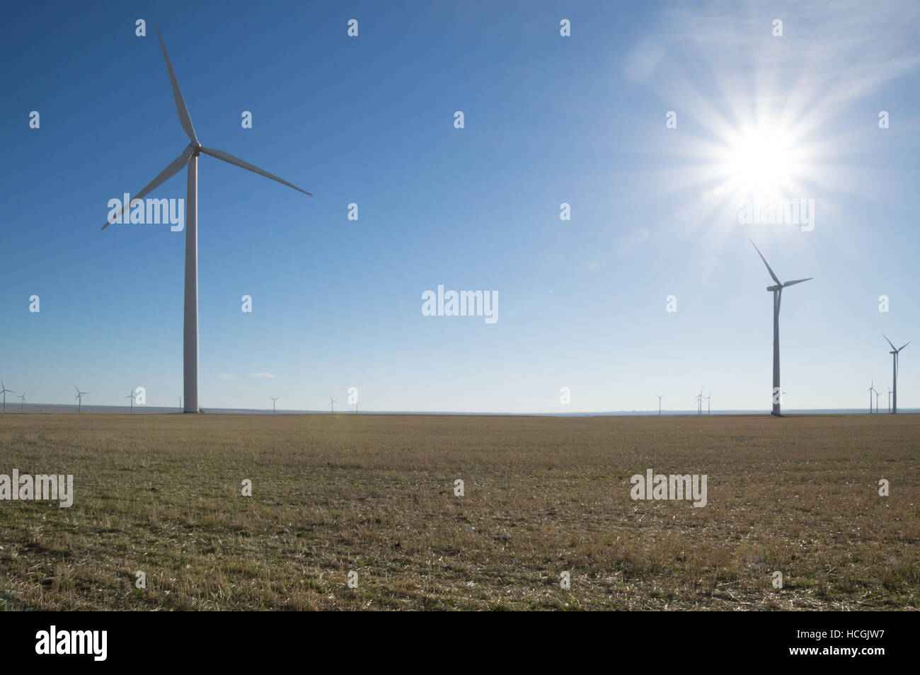 Wind Turbine und Prairie Grass im Vordergrund mehrere Windmühlen und die Sonne im Hintergrund. Foto hat Bokeh-Effekt Stockfoto