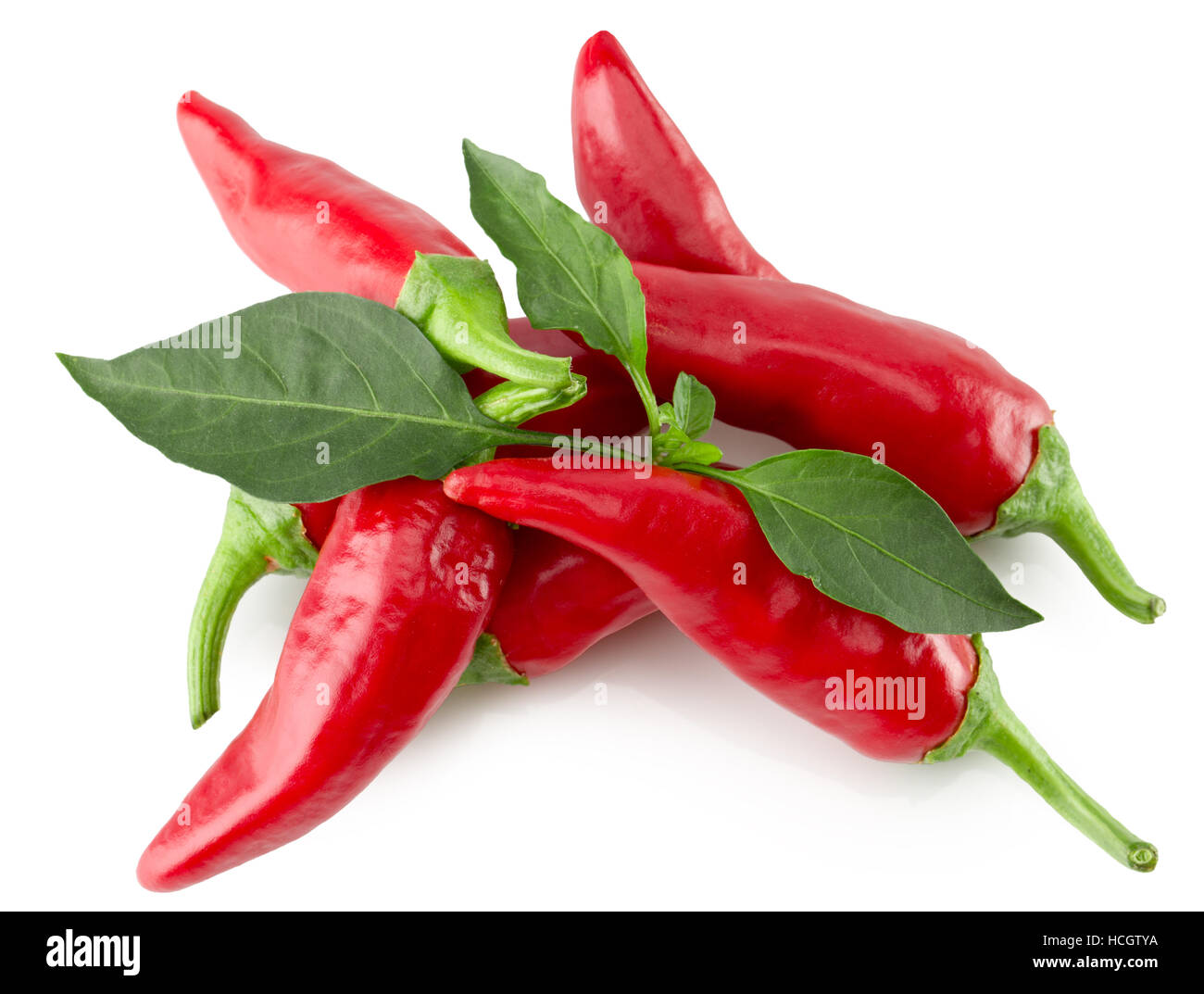 rote Chilischote auf dem weißen Hintergrund isoliert. Stockfoto