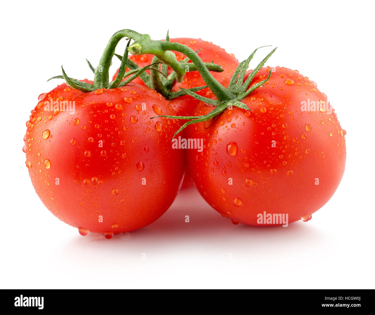 Tomaten mit Wassertropfen auf dem weißen Hintergrund isoliert. Stockfoto