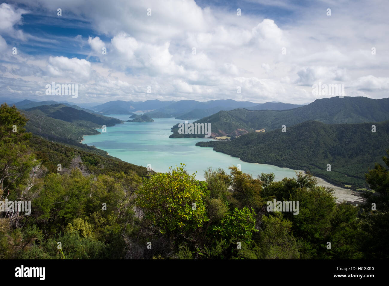 Marlborough Sounds, Neuseeland Stockfoto