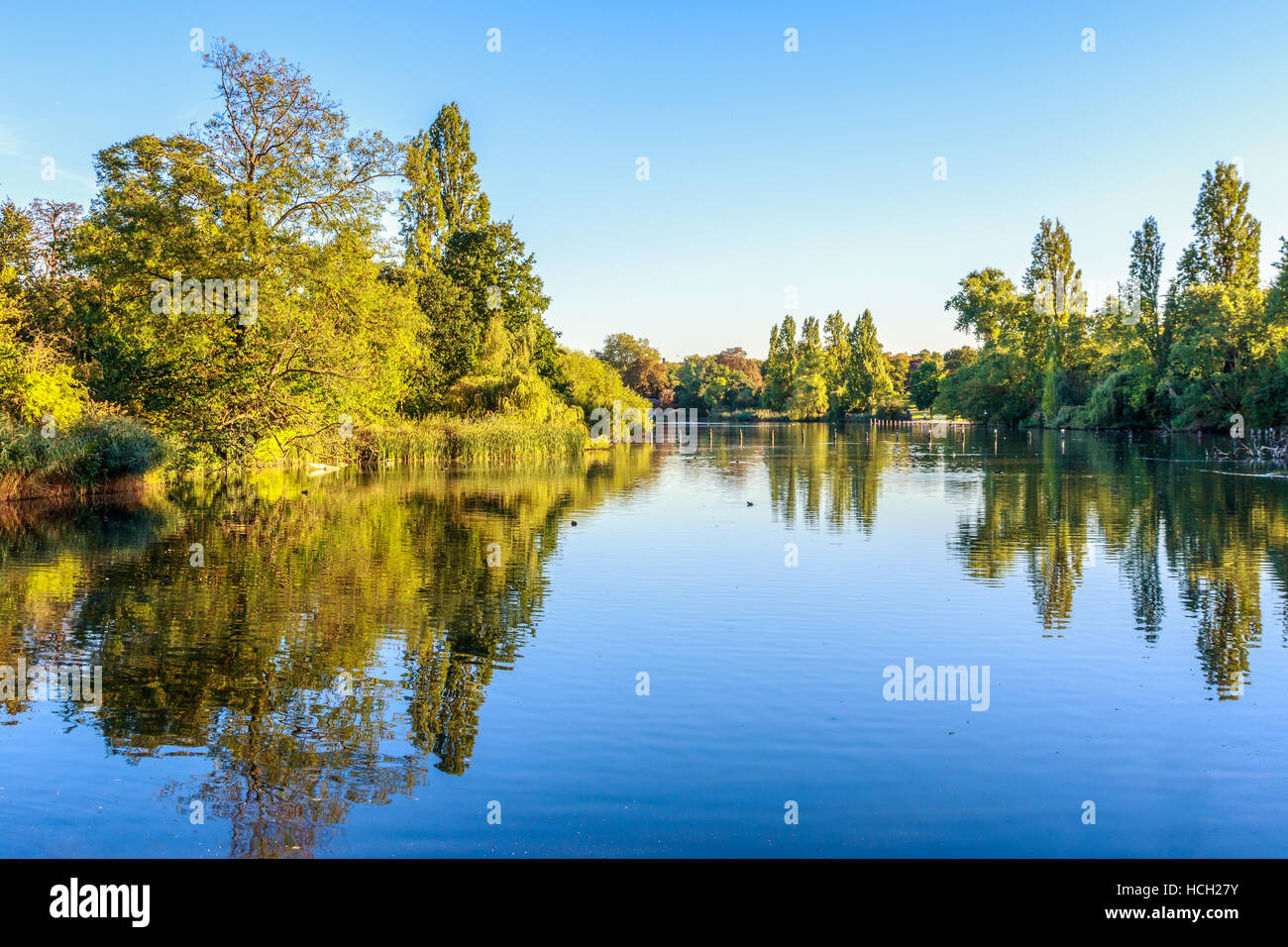 Blick auf das lange Wasser im Hyde Park, London Stockfoto