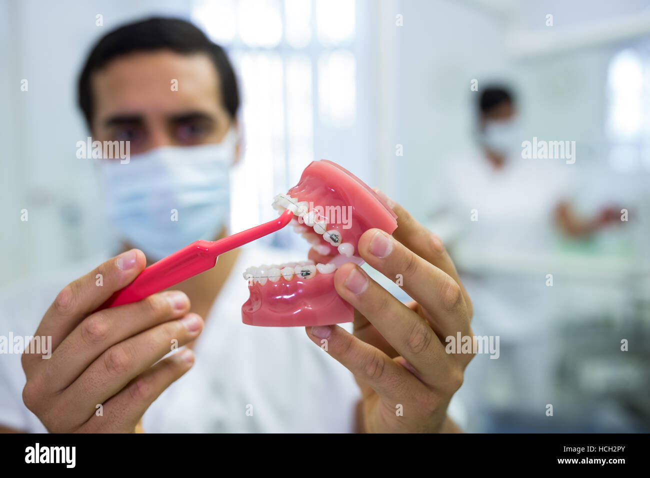 Zahnarzt dental Kiefer-Modell mit einer Zahnbürste reinigen Stockfoto