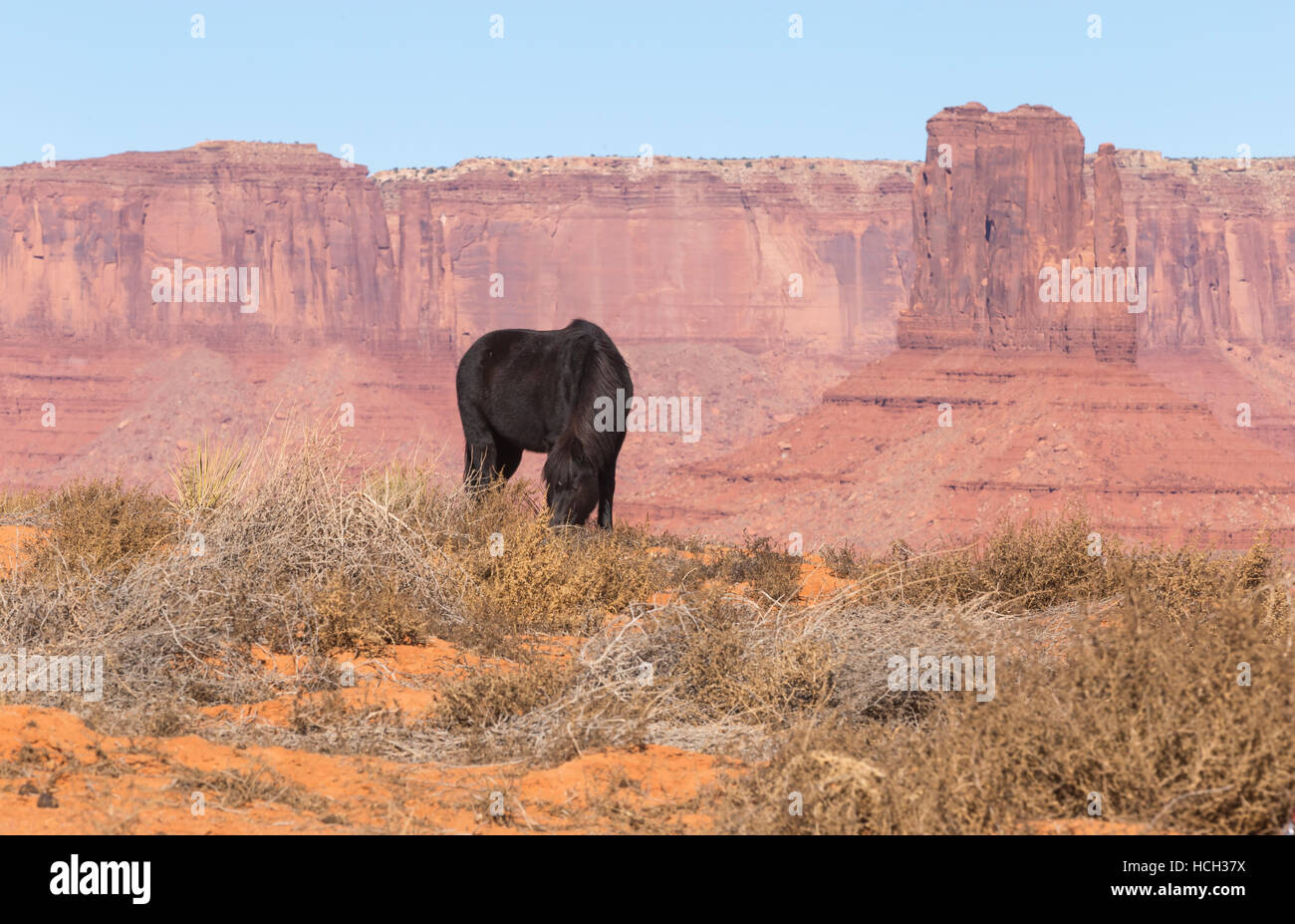 Monument Valley-Nationalpark in Arizona, USA Stockfoto