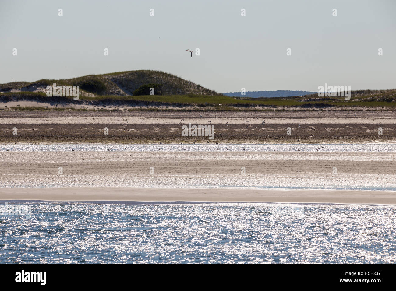 Hügelige Strand mit ruhigem Wasser und bei Ebbe zeigt eine große Schar von nassen Sand mit Vögel Stockfoto