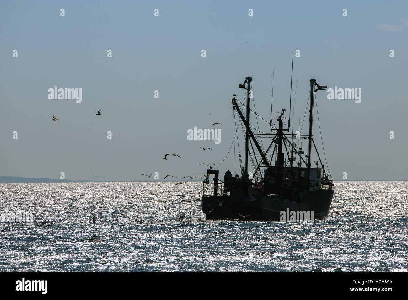 Silhouette von Fischerboot auf ruhiger See mit Herde von Vögel und Windkraftanlagen in der Ferne Stockfoto