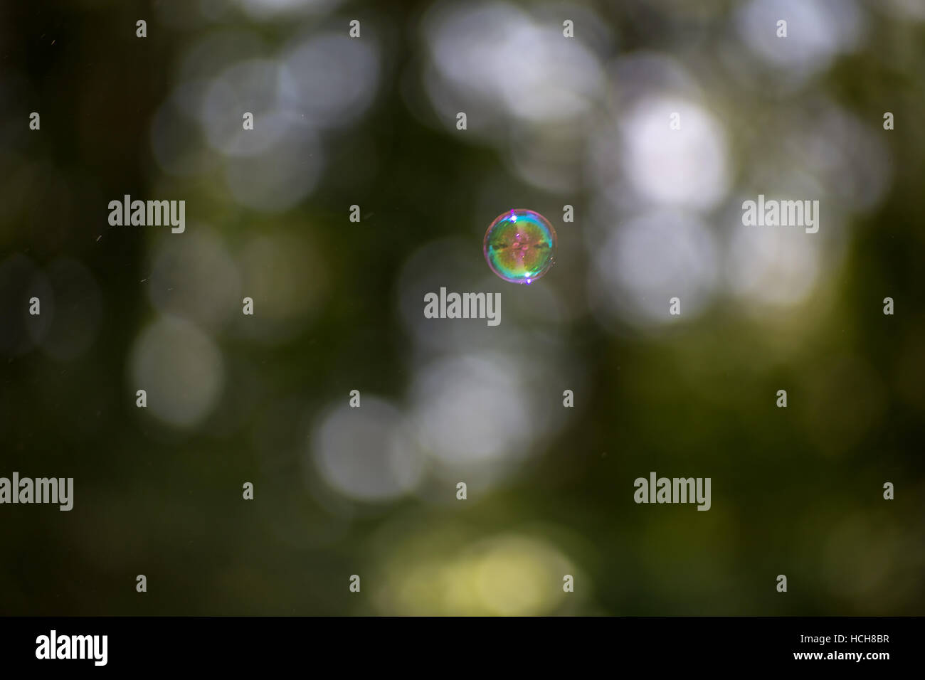 Einzelne bunte Seifenblasen schweben vor Bokeh highlights Stockfoto
