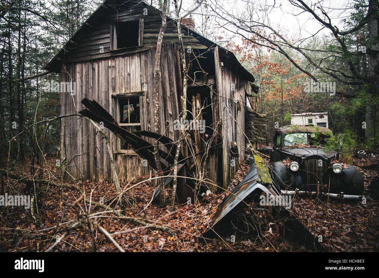 Verlassene, überwucherte Haus auseinander zu fallen, im Wald, neben einem Oldtimer Stockfoto