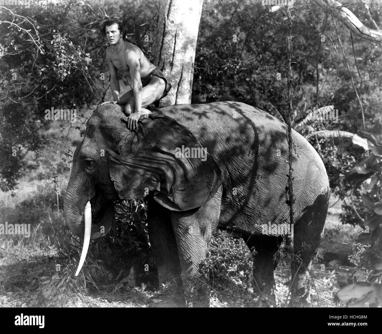 Die NEW ADVENTURES OF TARZAN (aka, TARZANS Abenteuer, TARZAN und die