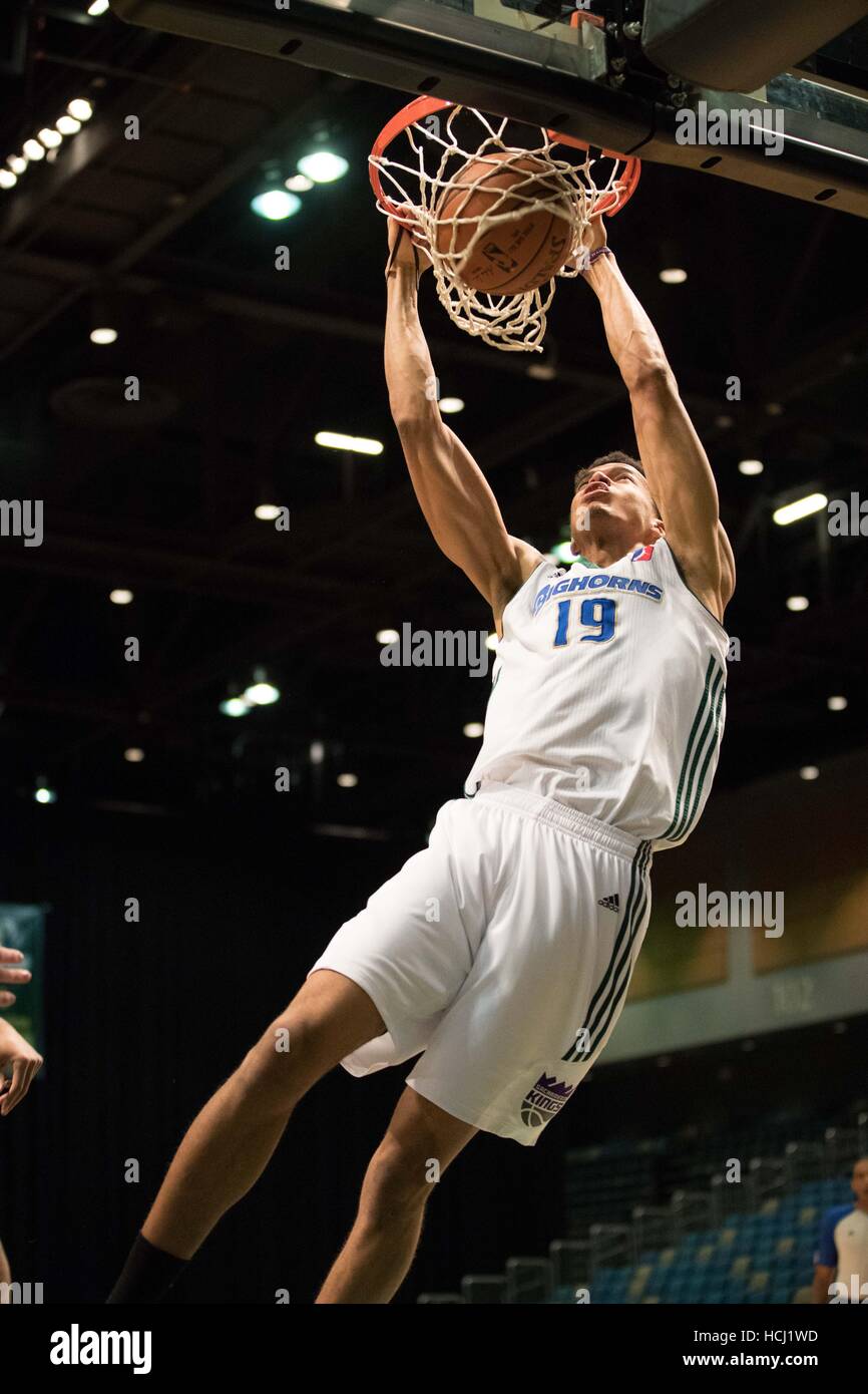 Reno, Nevada, USA. 9. Dezember 2016. Reno Bighorn Center SKAL LABISSIERE (19) Dunks während der NBA D-League Basketball-Spiel zwischen Reno Dickhornschafe und Iowa Energy im Reno Events Center in Reno, Nevada. © Jeff Mulvihill Jr/ZUMA Draht/Alamy Live-Nachrichten Stockfoto