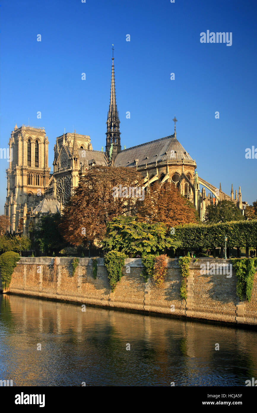 Die Kathedrale Notre Dame auf Île De La Cité, eine der Inseln in Seineufer, Paris, Frankreich. Stockfoto