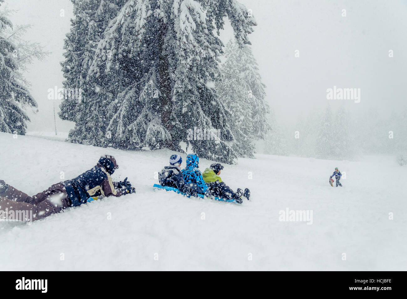 Schnee-Szene. Mädchen mit Schlitten, Winter, Burnaby Mountain Park, Burnaby, British Columbia, Kanada. Stockfoto