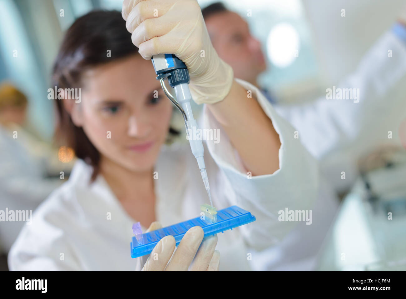 Übertragung der Probenmaterials Stockfoto