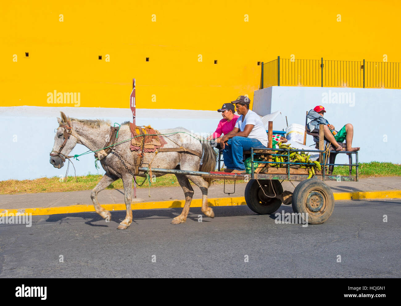 Pferd Gezeichneten Wagen In Granada Nicaragua Granada Wurde Im