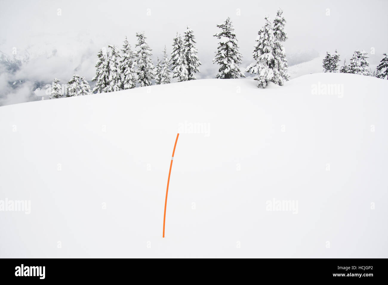 Orange Pfähle markieren die sichere (Lawinen frei) Winter Weg zur Elfin Seen Hütte im Garibaldi Provincial Park in British Columbia, Kanada. Stockfoto