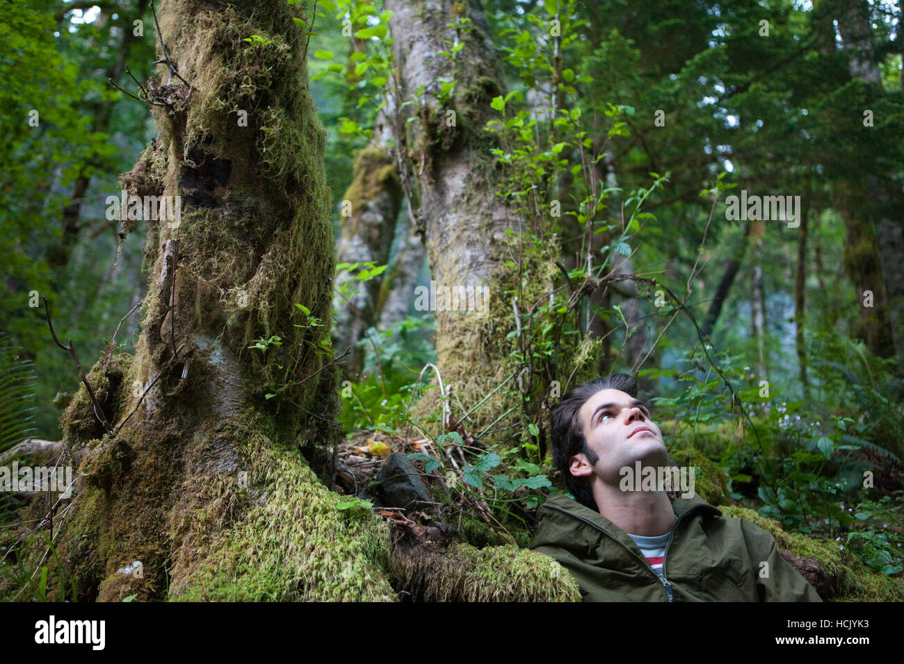 Hamilton Boyce betrachtet den üppigen Wald um ihn herum sieben und eine halbe Meile Camp, entlang der Eagle Creek Trail, Columbia River Gorge National Scenic Area, Oregon. Stockfoto