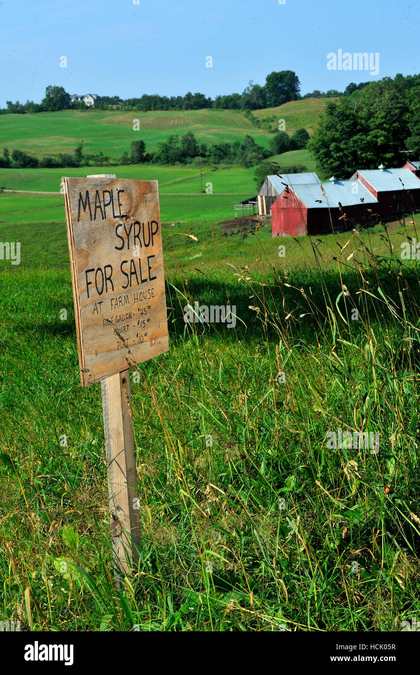 Bilder aus Vermont 100 Mile Ultramarathon. Stockfoto