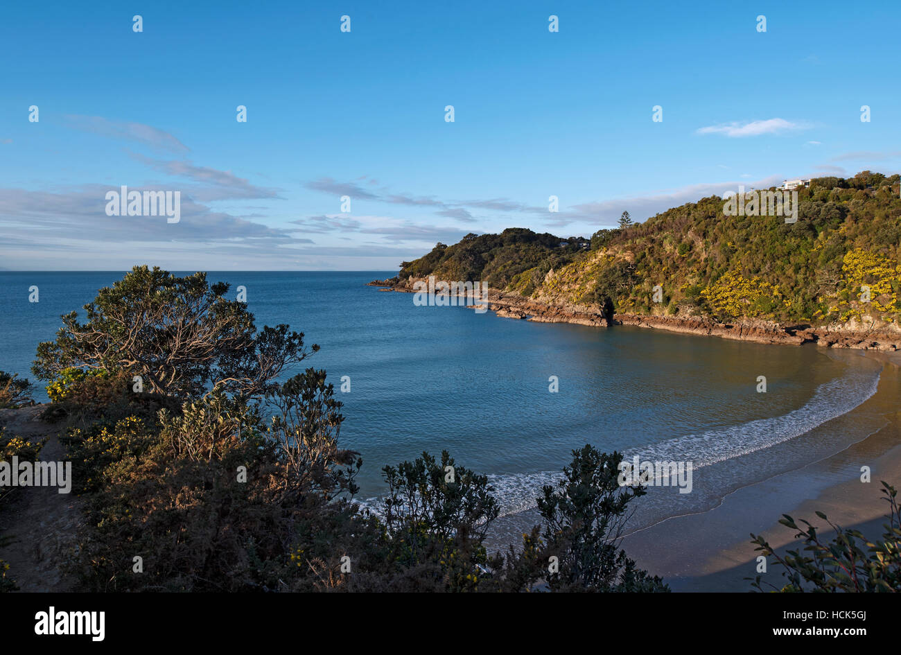 Kleinen Oneroa Strand; Waiheke Island, Neuseeland Stockfoto