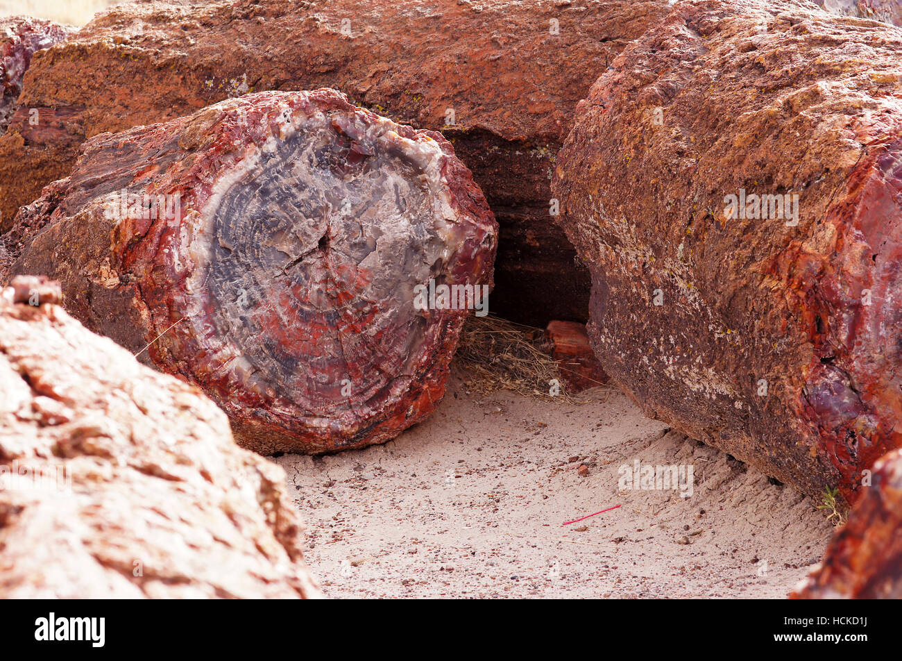 Petrified Forest National Park ist ein Nationalpark der Vereinigten Staaten in Navajo und Apache County im nordöstlichen Arizona. Stockfoto