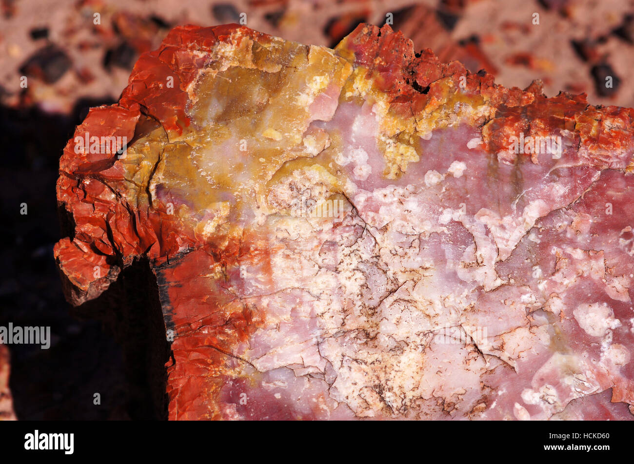 Petrified Forest National Park ist ein Nationalpark der Vereinigten Staaten in Navajo und Apache County im nordöstlichen Arizona. Stockfoto