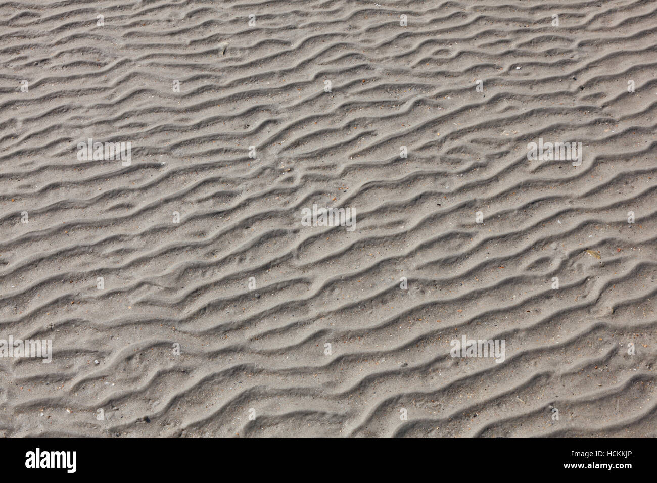 Wellen im nassen Sand am Strand Stockfoto