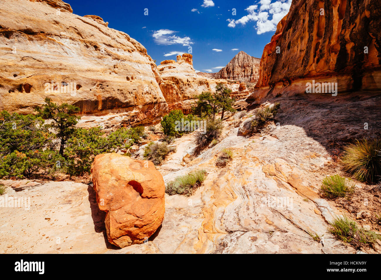 Der Weg zur Hickman Bridge ist beliebteste Wanderung Capitol Reef National Park und mit fantastischen Blick auf Waterpocket Fold und die majestätischen nat Stockfoto