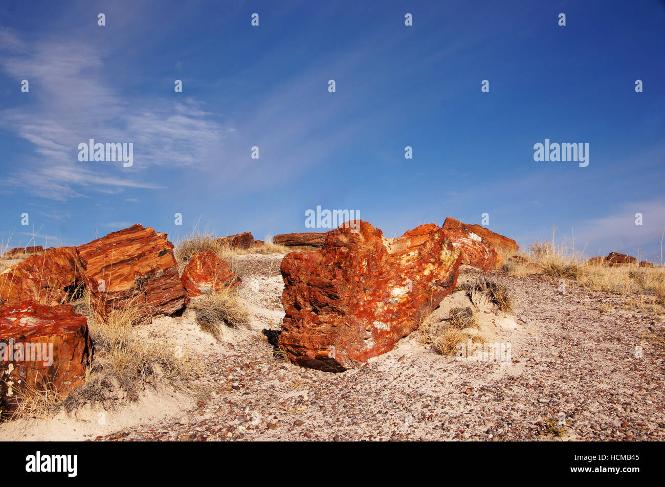 Petrified Forest National Park ist ein Nationalpark der Vereinigten Staaten in Navajo und Apache County im nordöstlichen Arizona. Stockfoto