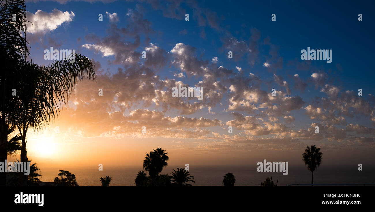 Sonnenuntergang Himmel über Wasser, Wolken und Palm-Baum-Silhouetten- Stockfoto
