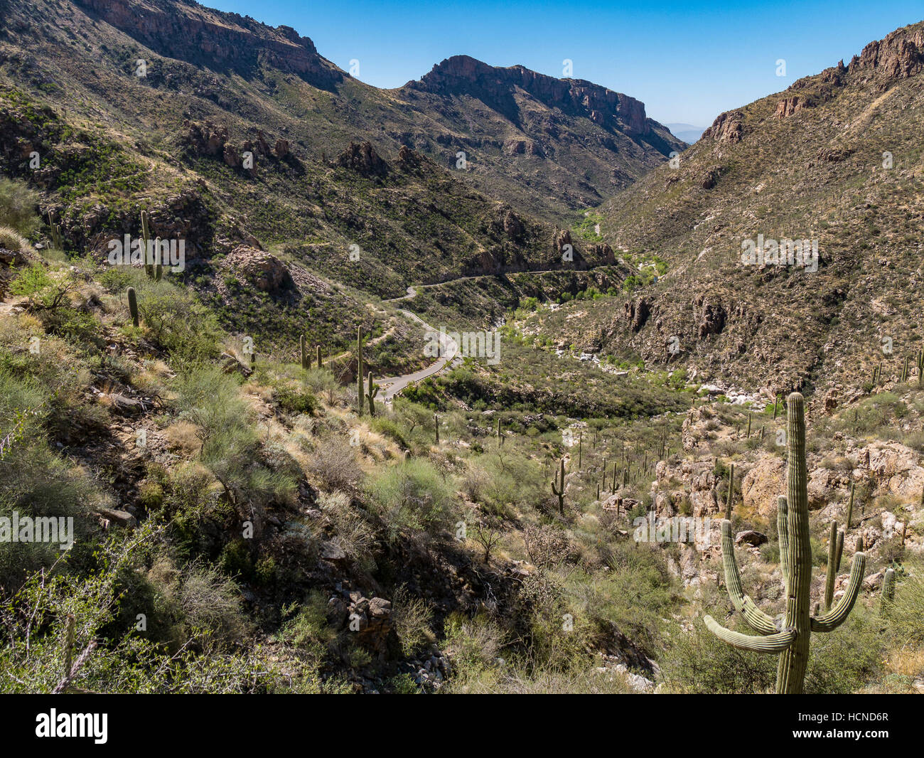 Auf der Suche nach unten Sabino Canyon vom Becken Weg, Sabino, Tucson, Arizona. Stockfoto
