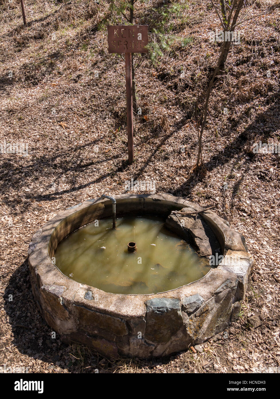 Kent Spring, Madera Canyon, Santa Rita Mountains, Arizona. Stockfoto
