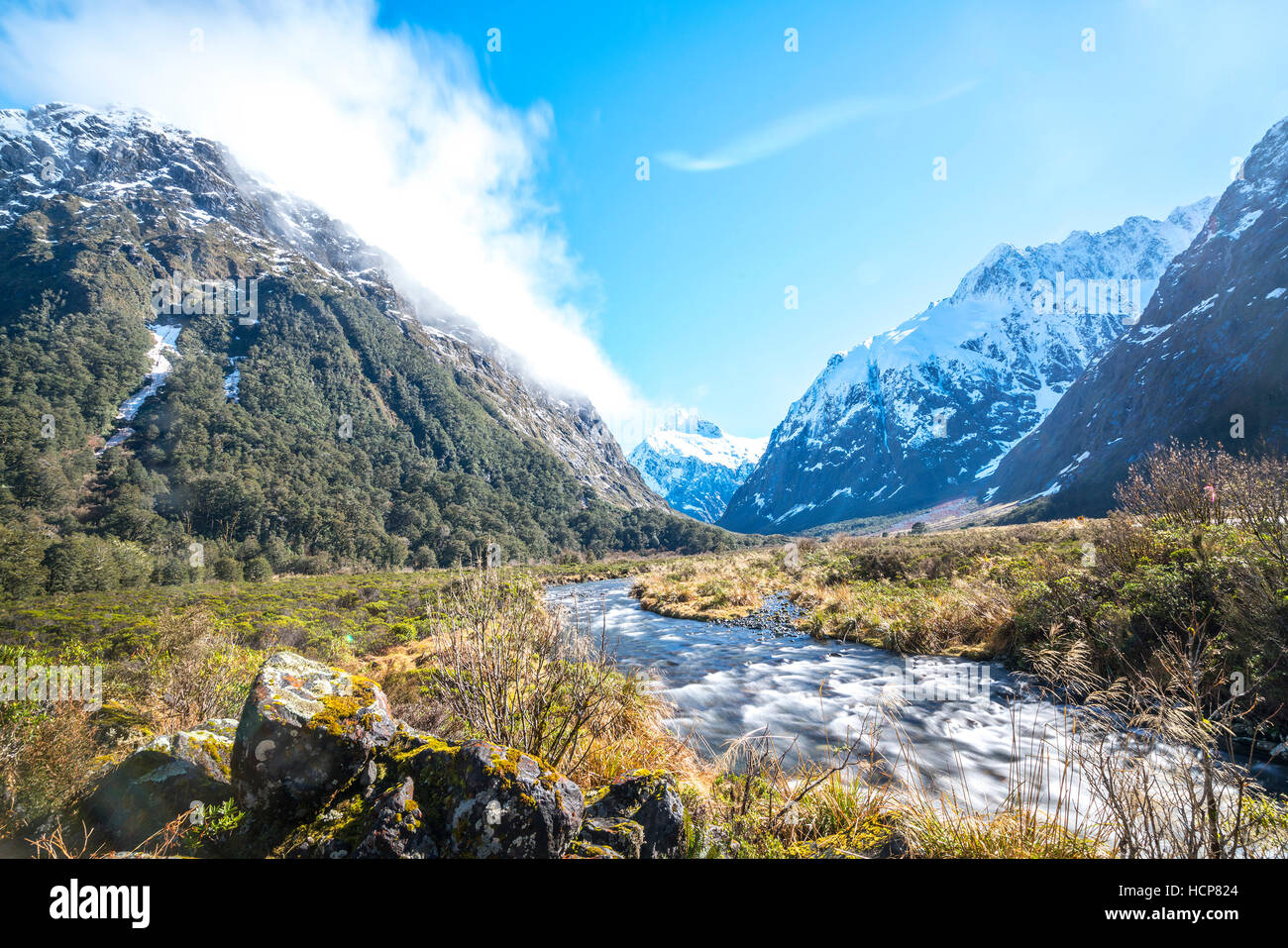 Wasserstrom mit Schneeberg bei Affen Creek, New Zealand Stockfoto