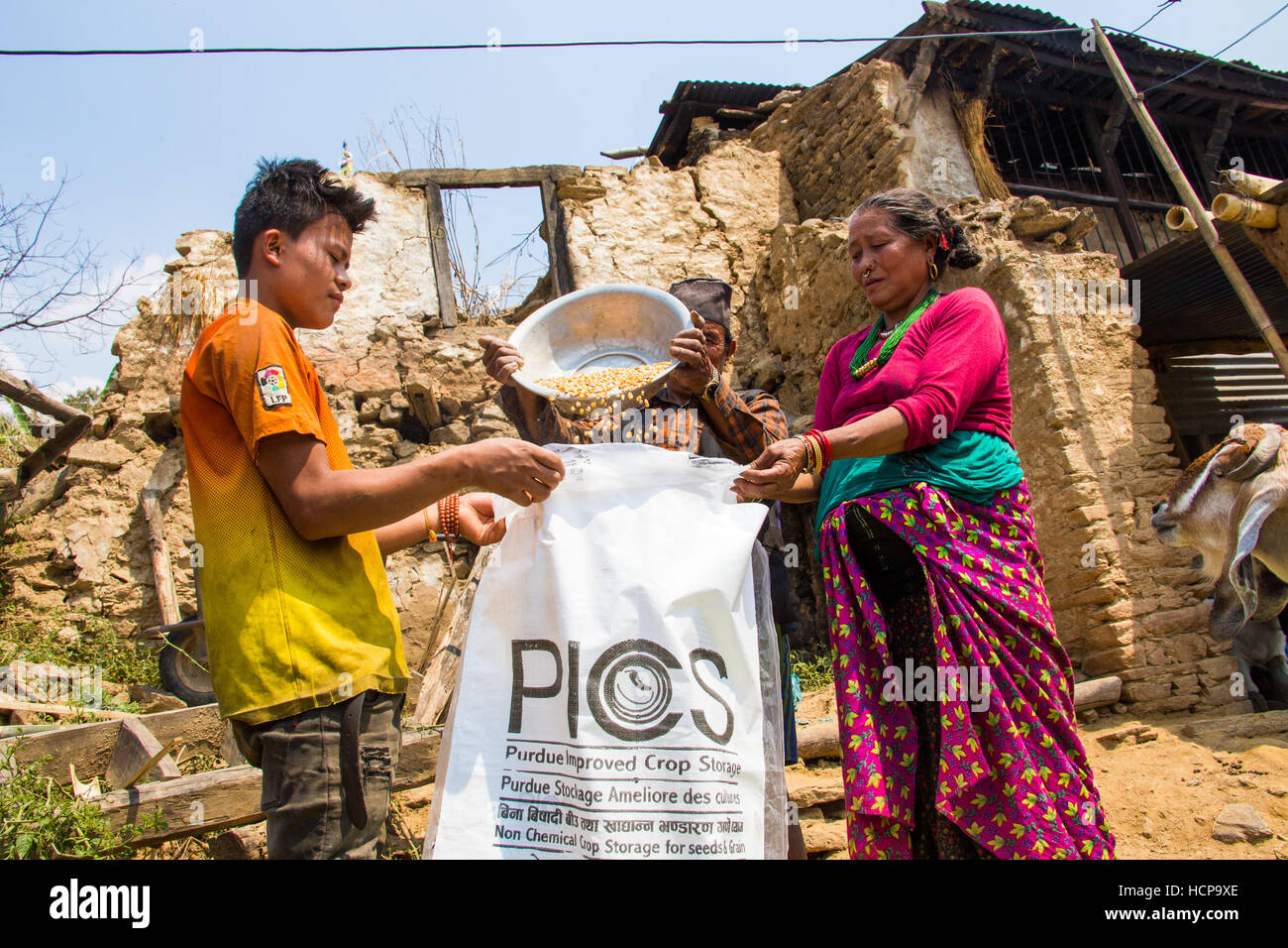 Purdue verbessert Ernte Lagerung Säcke, Sindupalchuk Bezirk, Nepal Stockfoto