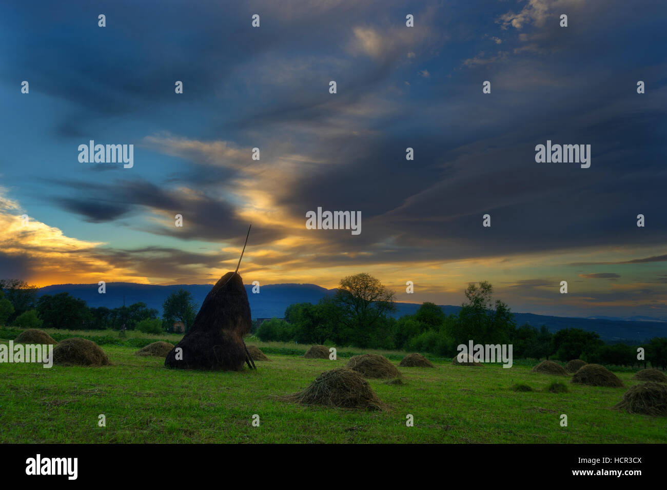 Bauernhof-Szene in Breb Maramures, Rumänien Stockfoto