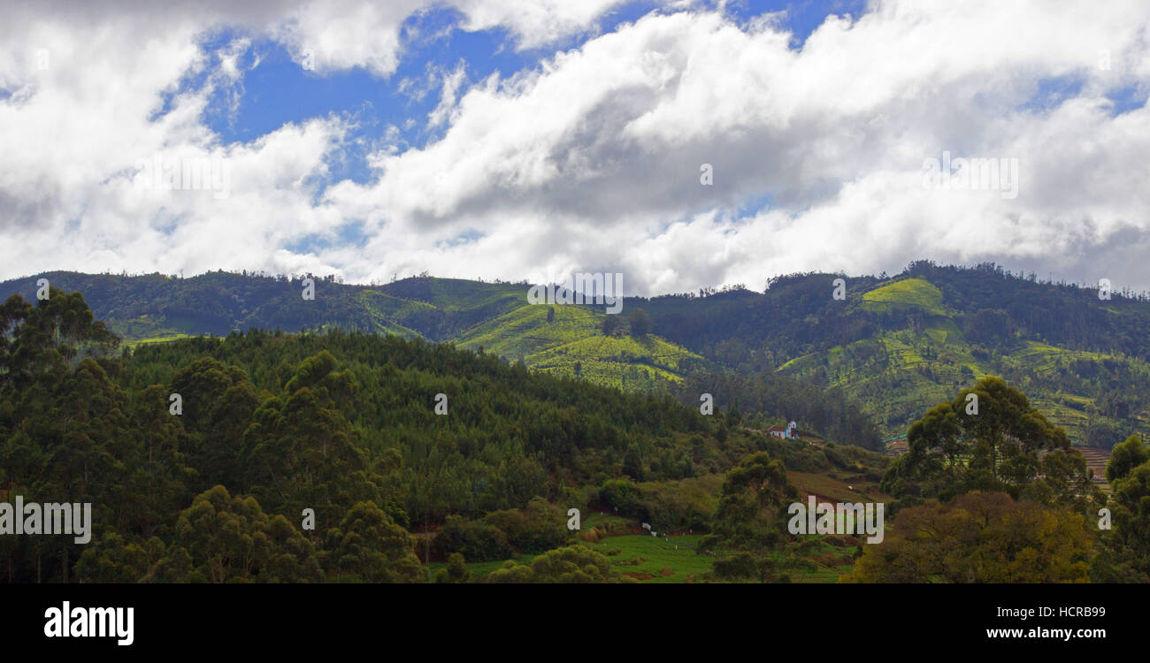 Ooty (Udhagamandalam) Stockfoto