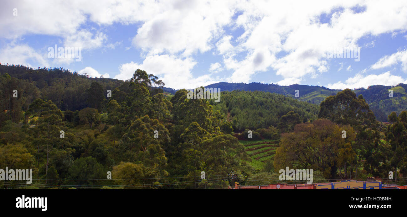 Ooty (Udhagamandalam) Stockfoto