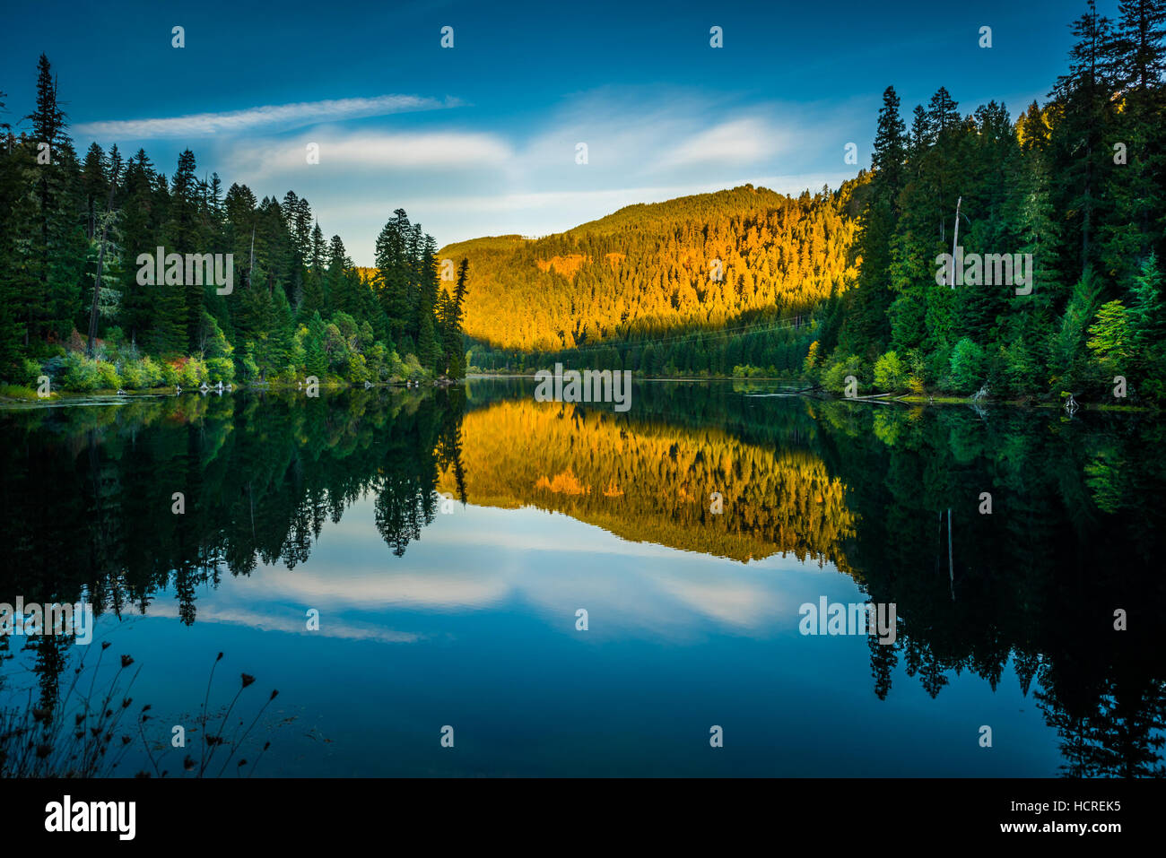 Ruhe Sonnenuntergang Reflexion Toketee See Umpqua River Oregon Stockfoto