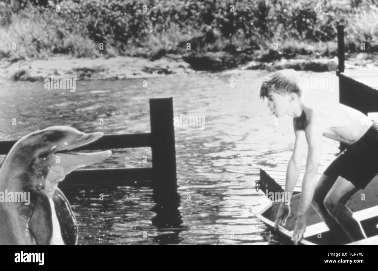 Flipper delfin Schwarzweiß-Stockfotos und -bilder - Seite 2 - Alamy